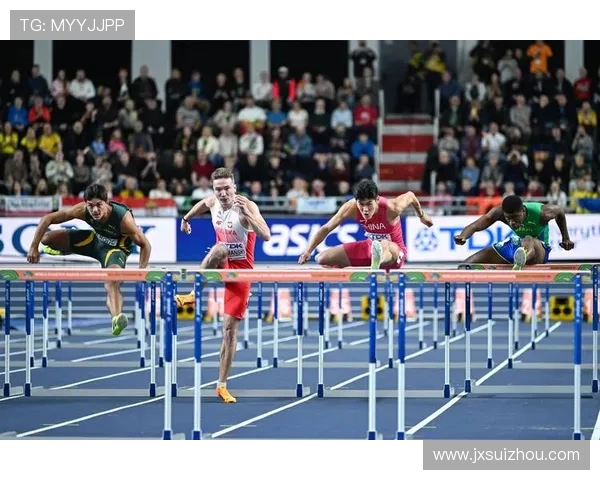 dim锦标赛世界杯体育论坛